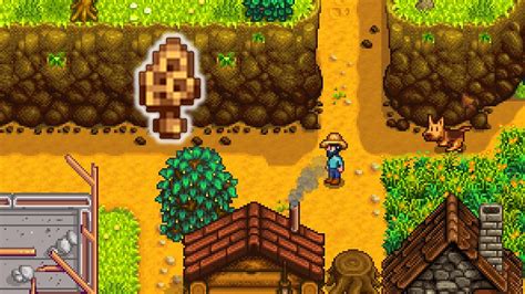 stardew morel