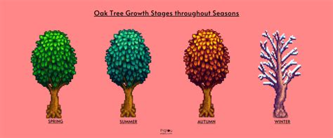 stardew oak tree