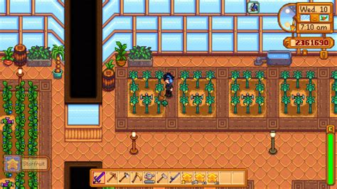 stardew starfruit