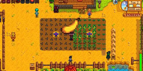 stardew summer squash