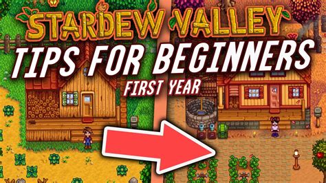 stardew valley 1st year tips