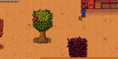 stardew valley apple