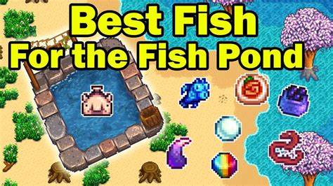 stardew valley best fish for pond