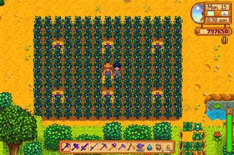 stardew valley best summer crops