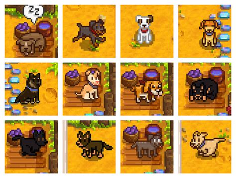 stardew valley dog