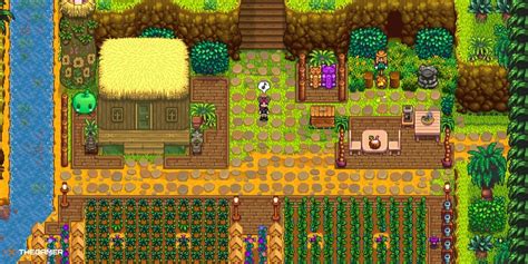 stardew valley ginger island farm