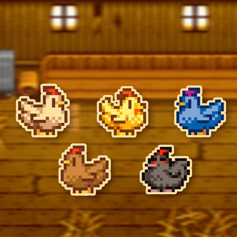 stardew valley golden chicken