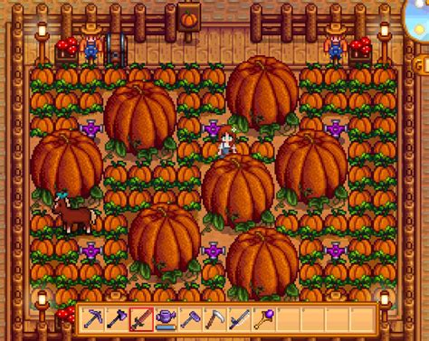 stardew valley pumpkin