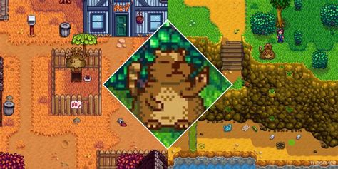 stardew valley trash bear