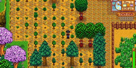 stardew valley tree farm