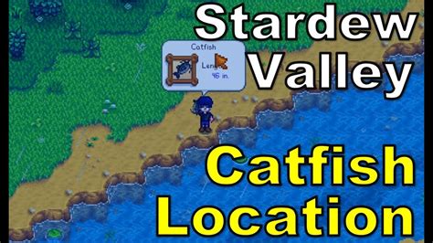 stardew valley where to catch catfish