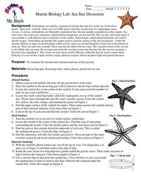 starfish dissection answer key biology junction Reader