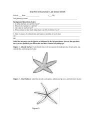 starfish dissection lab analysis questions answer PDF