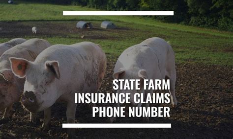 state farm insurance company claims phone number