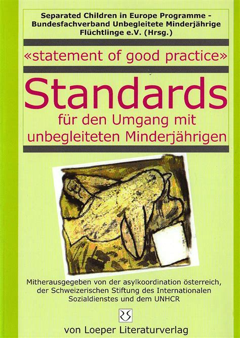 statement good practice unbegleiteten minderj hrigen Doc