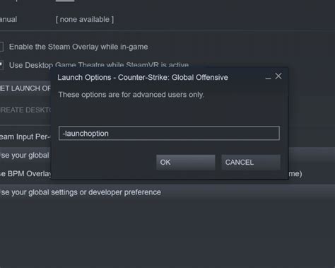 steam launch settings