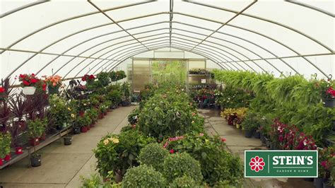 stein's garden & home green bay wi