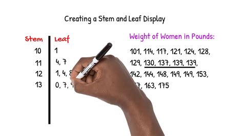 stem and leaf display calculator