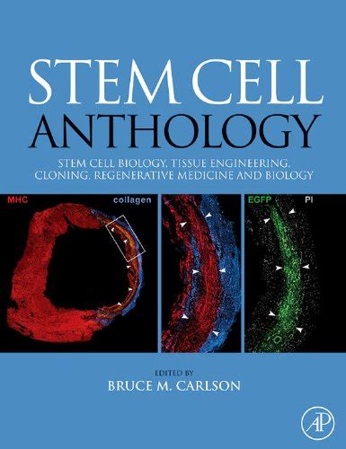 stem cell anthology from stem cell biology tissue engineering cloning regenerative medicine and biology Doc