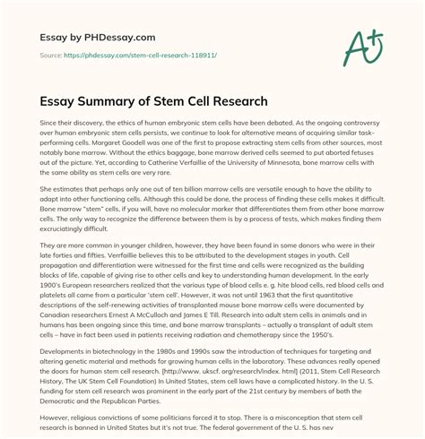 stem cell research essay conclusion Doc