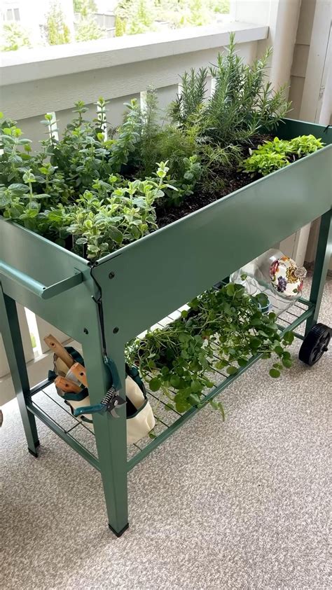 step by step herb gardens step by step successful gardening Reader