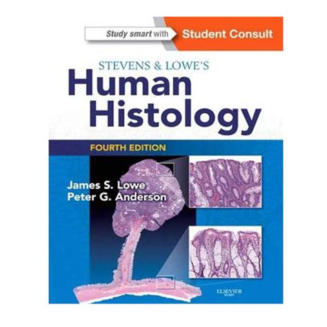 stevens and lowes human histology 4e human histology stevens Doc