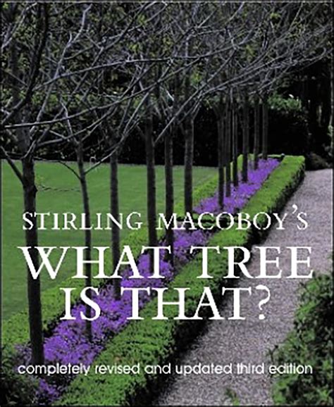 stirling macoboys what tree is that? Doc