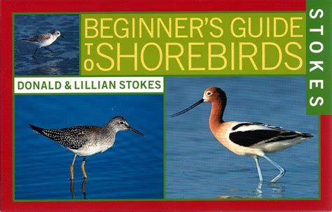 stokes beginners guide to shorebirds Epub