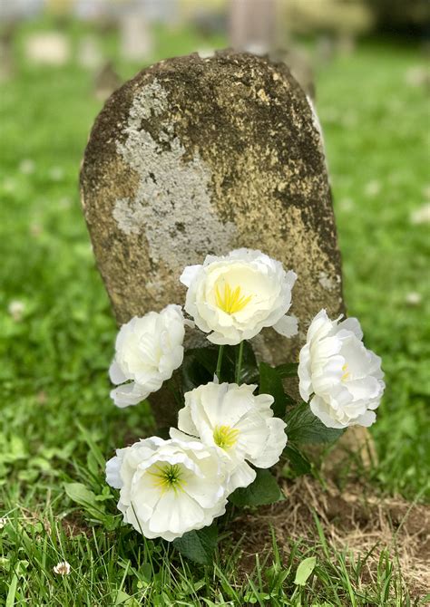 stone with flower