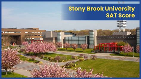 stony brook sat