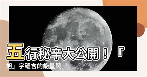 stopper 中文秘辛大公開：10000 字深度剖析！