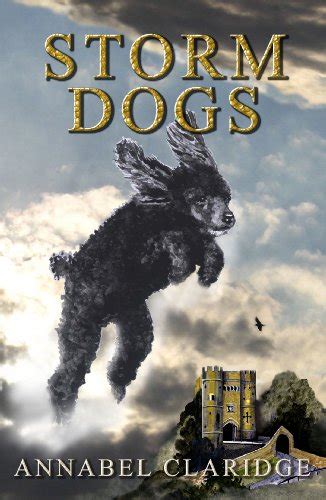 storm dogs bo the time travelling poodle book 1 PDF