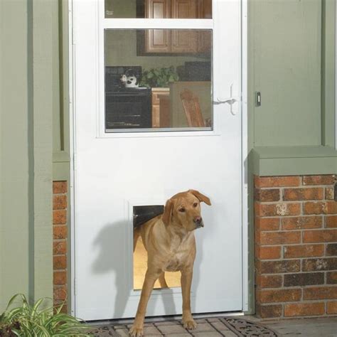 storm door with pet door