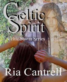 storm trilogy featuring knight storm celtic tempest celtic fury Kindle Editon