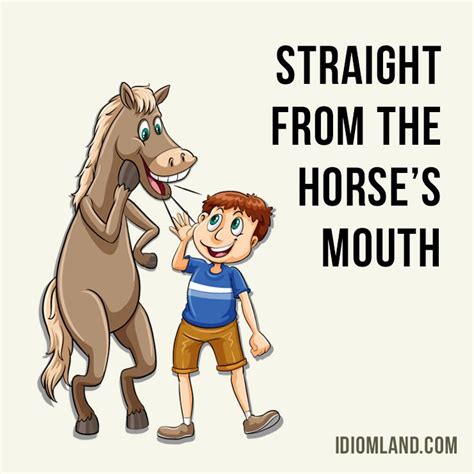 straight from the horses mouth Kindle Editon