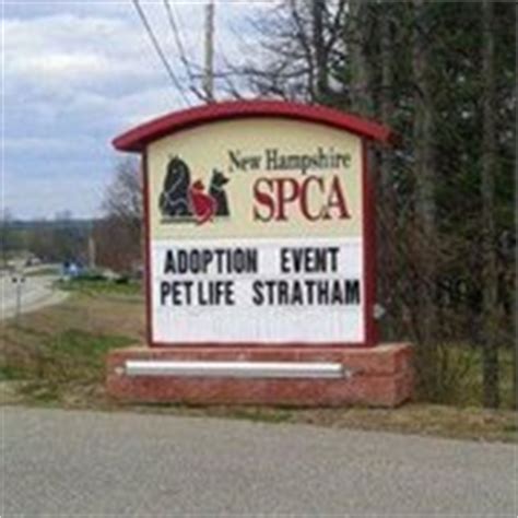 stratham spca