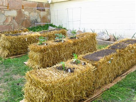 straw bale gardening Reader