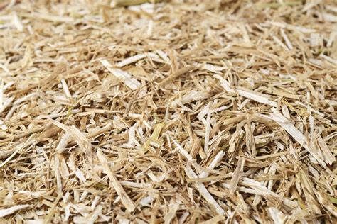 straw bedding