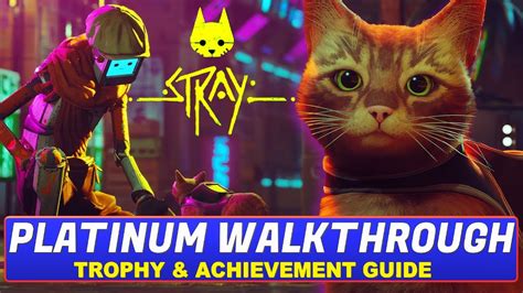 Stray Achievement Walkthrough