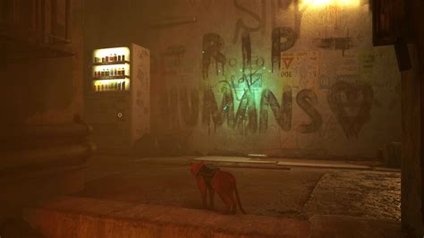 Stray Chapter 4 Walkthrough