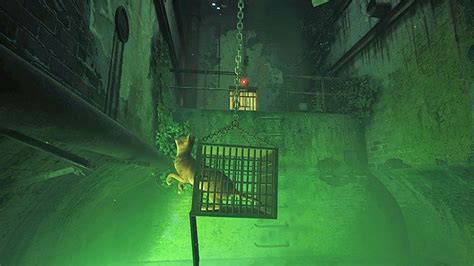 Stray Game Jail Walkthrough