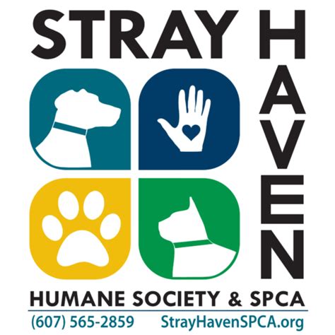 stray haven