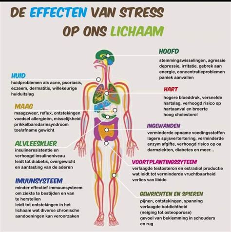 stress de invloed van spanning op lichaam en geest PDF