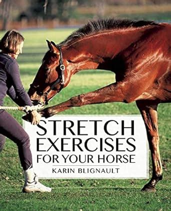 stretch exercises for your horse the path to perfect suppleness Doc