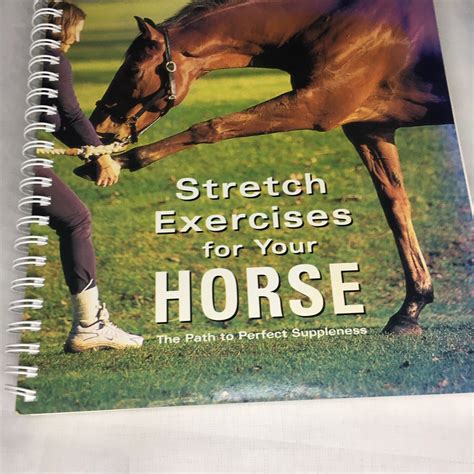 stretch exercises for your horse the path to perfect suppleness Doc