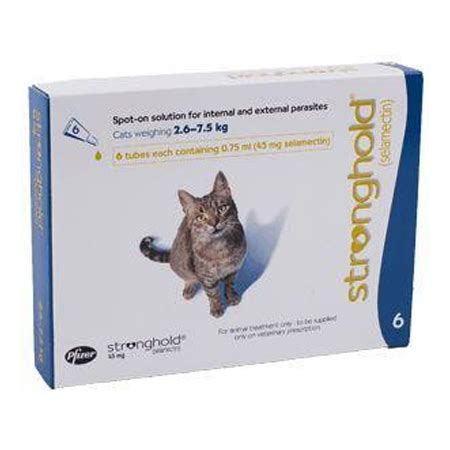 stronghold cat manual guide Reader