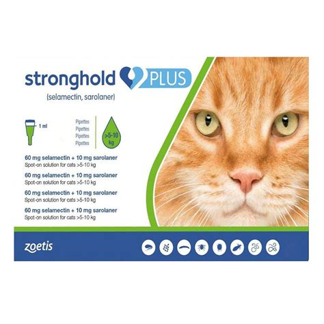 stronghold cat manual guide Reader