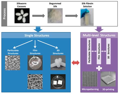 structural biomaterials structural biomaterials Doc