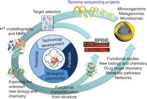 structural genomics part 2 structural genomics part 2 Doc