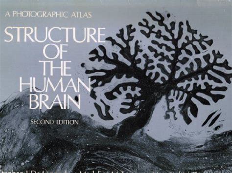 structure of the human brain a photographic atlas spiral bound PDF